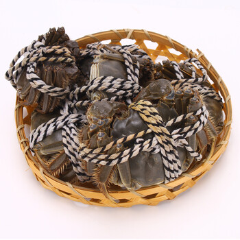 母蟹 3两10只礼盒装顺丰包邮梁子湖全母新鲜正宗大闸蟹 生鲜水产 母蟹