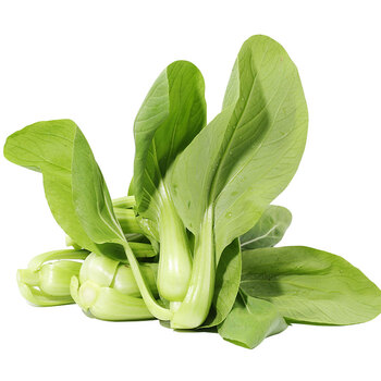 密云农业 小油菜 500g 新鲜时令蔬菜