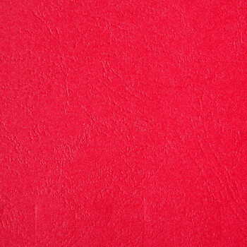 装订封面纸 云彩纸 仿羊皮封面纸 花纹纸 凹凸感 297*210mm a4大红色