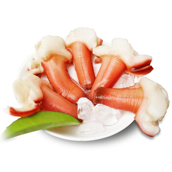 鲜韵宴 加拿大北极蚌冰鲜兰花蚌刺身 单份 500g