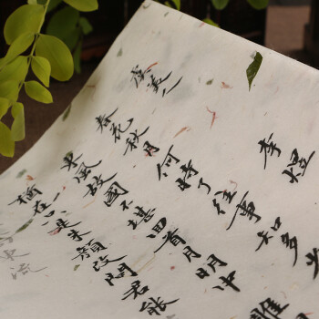 字帖楷书练习纸入门临摹书法纸心经描红宣纸花草 李煜宋词花草描红 十