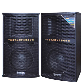特美声dp-113t单10寸低音喇叭专业舞台音箱带调音台双无线话筒 黑色