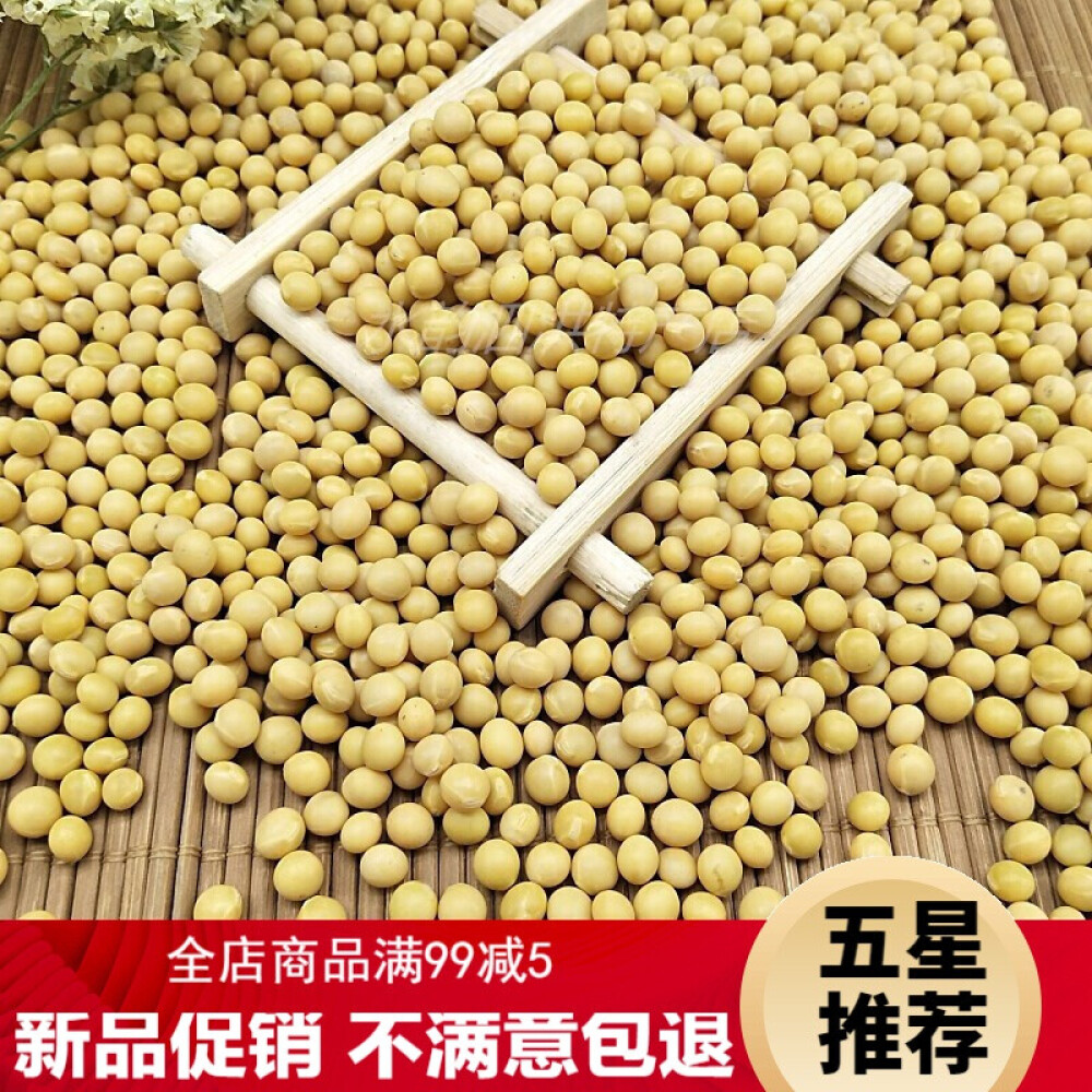 (新品 不满意包退)新豆小金黄690黄豆发豆芽做纳豆珍珠粒小黄豆自种1份5斤