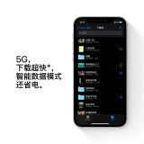 Apple iPhone 12 Pro (A2408) 128GB 银色 支持移动联通电信5G 双卡双待手机