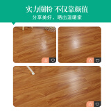 多米陽光（DomiShine） 強化復合木地板自然環保耐磨家用防水臥室地熱地暖12mm DM909（裸板）