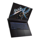 七彩虹 将星X17 Pro MAX