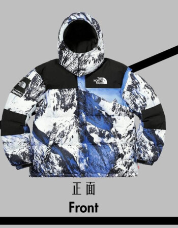 the north face北面 17fw tnf 聯名雪山衝鋒衣夾克羽絨服外套 雪山