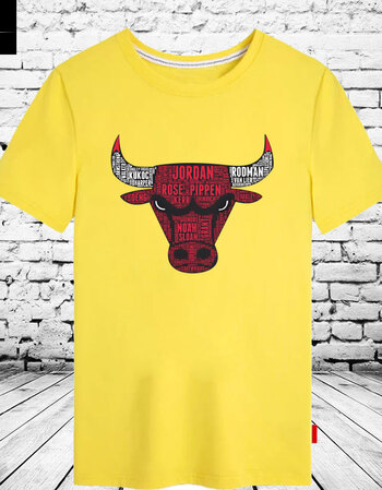 公牛队员英文名字组合创意篮球运动圆领t恤衫球迷纯棉宽松短袖男 黄色