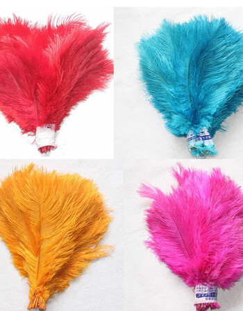 阿坡饵cos头饰 天然装饰羽毛 单根羽毛 彩色鸵鸟毛 5元一根 大红色