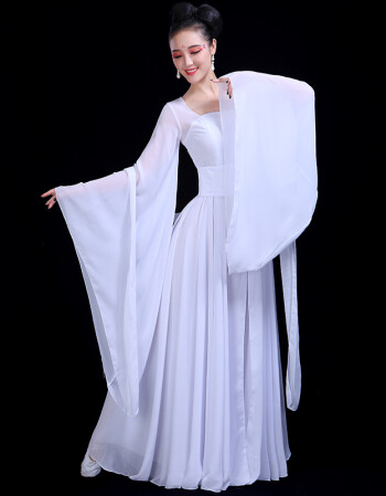 古典舞服装演出服女中国风飘逸清新淡雅古装汉服仙女广袖流仙裙 白色