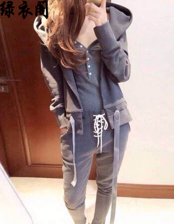 绿衣阁2016秋装韩版烟灰色连帽运动休闲套装三件套卫衣女 秋9310 图片色加绒款 L