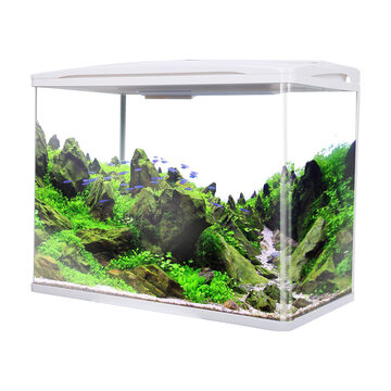 京东商城波奇网聚宝源鱼缸水族箱金鱼缸小型玻璃鱼缸h240升级2416528