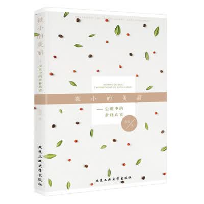 《微小的美丽——尘世中的素朴欢喜》_张觅_北京工业大学_扫描版[PDF]