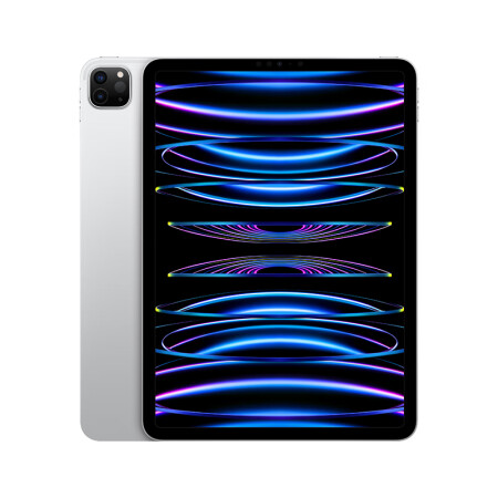 Apple iPad Pro 11英寸平板电脑(256G WLAN版/M2芯片Liquid视网膜屏/MNXD3CH/A)2022年款 银色