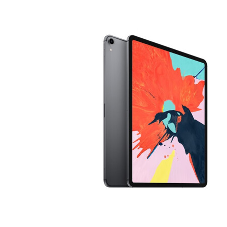 二手99新 Apple Ipad Pro 二手ipad 平板电脑18款11 12 9寸二手平板99新18款pro12 9寸256g 灰色wlan版 图片 价格品牌报价 京东