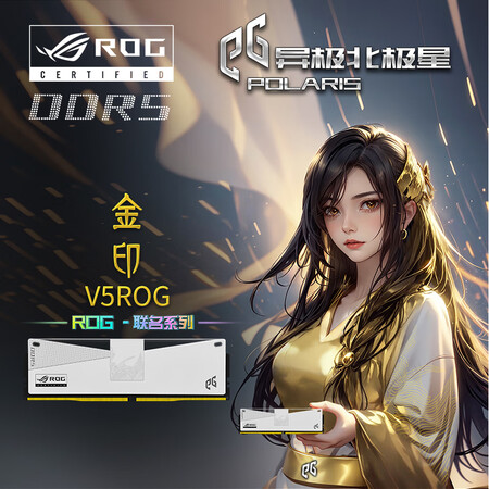 EG异极北极星 金印V5 ROG联名系列 马甲条 内存条 D...
