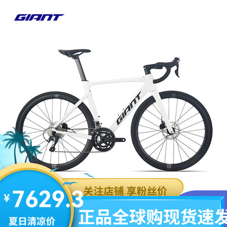 捷安特（GIANT）PCRLTD1碳纤维前叉轮组20速油碟空...