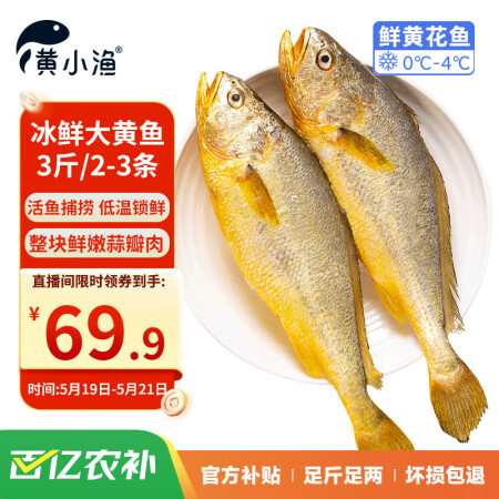 黄小渔【冰鲜】宁德黄花鱼净重3斤/2-3条大黄鱼 海鲜水产生...