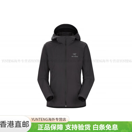始祖鸟（ARC'TERYX）GAMMA SL Ho...