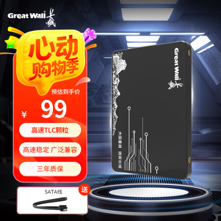 长城（Great Wall) 240GB SSD固态硬盘 S...