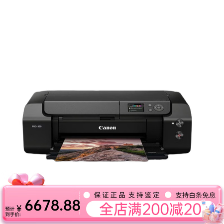 佳能（Canon）PRO200艺术摄影爱好者照片8色喷墨打印...