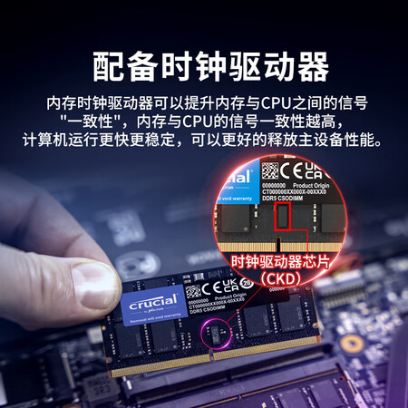 Crucial英睿达 32GB DDR5 5600频率 笔记...