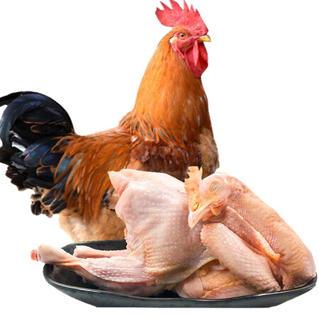 牧憨农庄生鲜童子鸡整只鸡1000g只2只