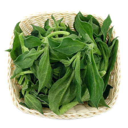 孙桥 冰草 多花冰草 约250g