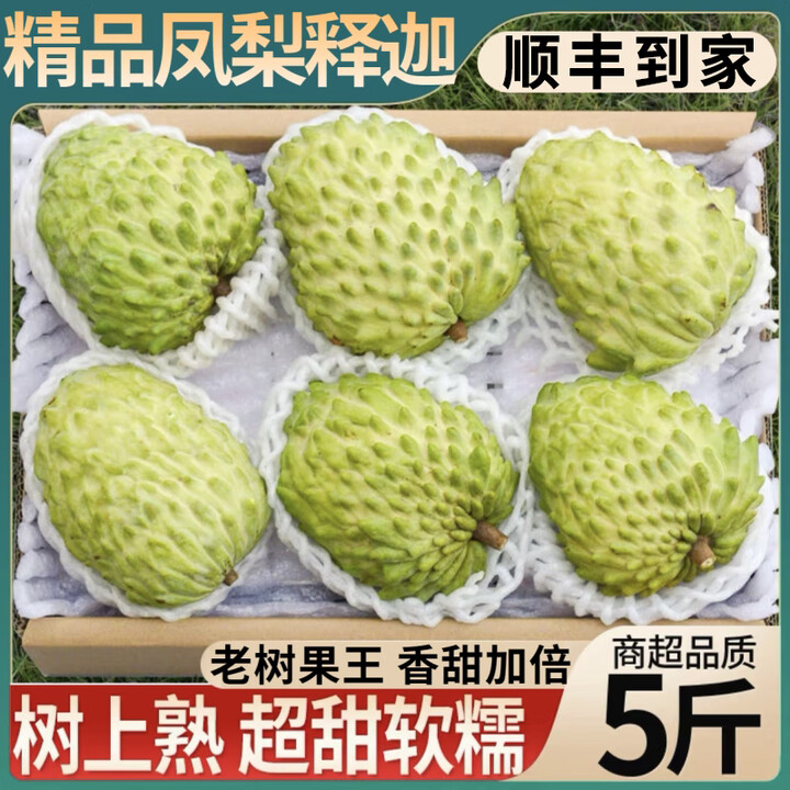 鑫果滋 凤梨释迦果 佛头果番荔枝牛奶摩尼果大目佛头年货新鲜年货水果 3斤中果【单果150g-250g】【图片 价格 品牌 报价】-京东