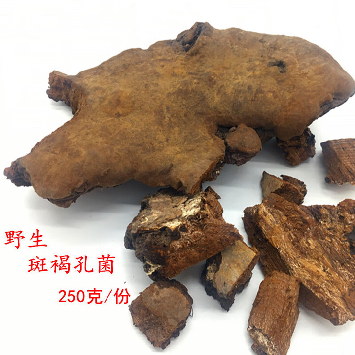斑褐孔菌250g 斑褐灵芝长白山斑褐菌东北