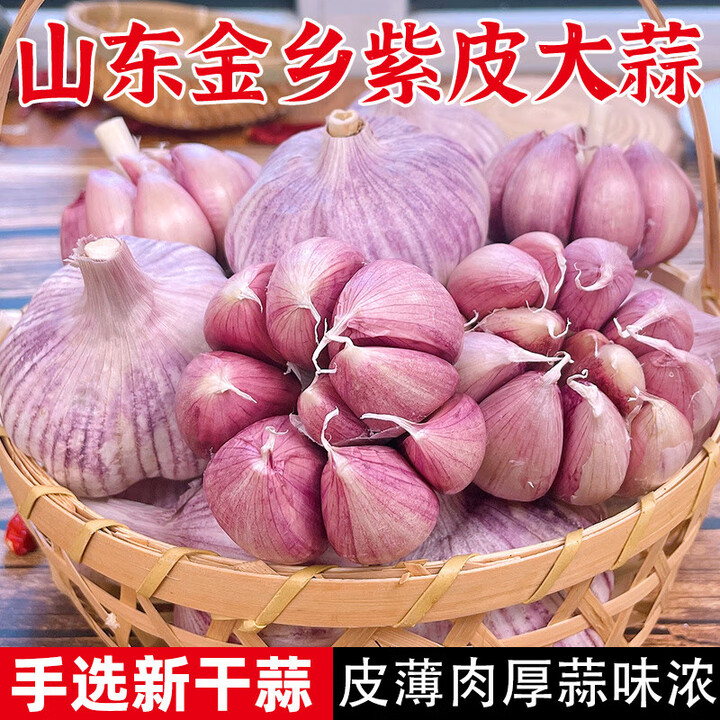 致荟树山东大蒜头种籽干蒜5斤农家紫红皮种子新鲜蒜头蔬菜多瓣蒜批发 1500g/3斤装 中果(果径4CM-5CM)【图片 价格 品牌 报价】-京东
