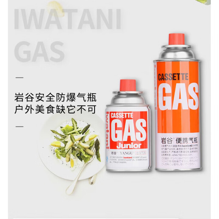 岩谷户外便携卡式炉防爆液化瓦斯气瓶卡斯炉丁烷气体高山气罐煤气 全国250克48个