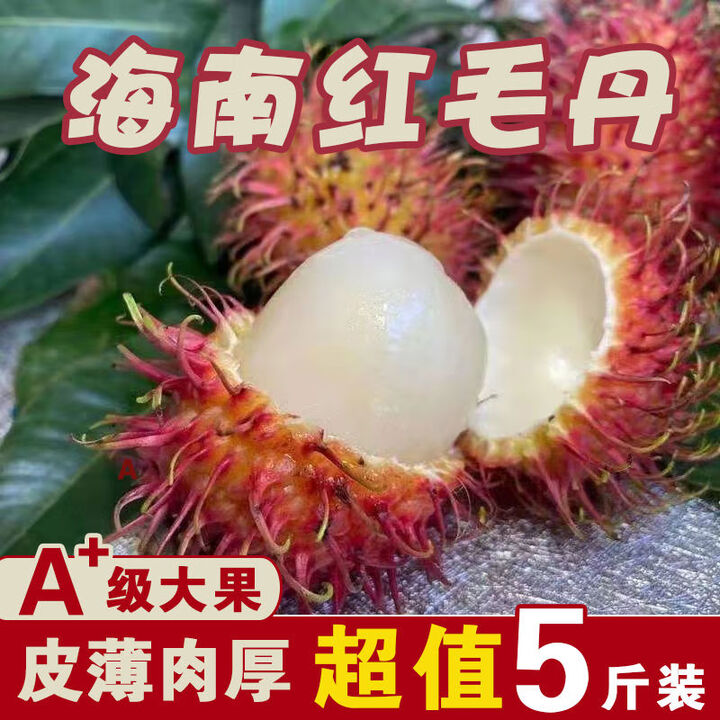 水蜜晶钻红毛丹新鲜水果5斤海南当季热带水果毛荔枝毛丹果现摘整 5斤【图片 价格 品牌 报价】-京东