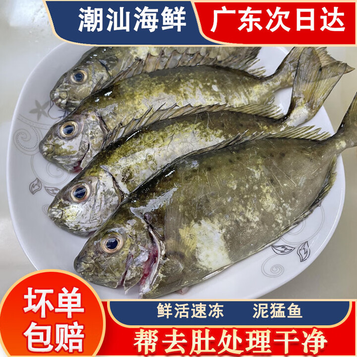 泥猛鱼 潮汕海鲜水产娘艾鱼 新鲜活冻当天捕捞篮子鱼臭肚鱼 4条左右一斤(去肚前500g)【图片 价格 品牌 报价】-京东