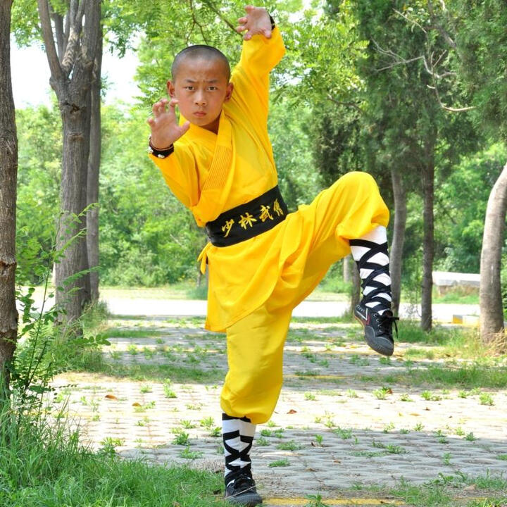 奢依君(SHEYIJUN)小和尚衣服 武术服少林寺武僧练功服装少林功夫训练表演服练武服 款式1 100cm【图片 价格 品牌 报价】-京东