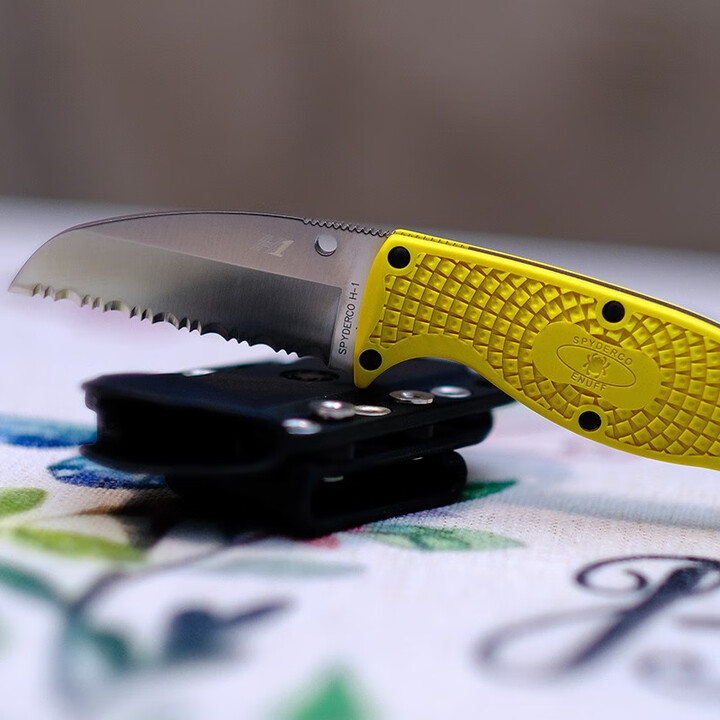 SPYDERCO 美国蜘蛛 FB31 全齿防锈H1刃户外刀