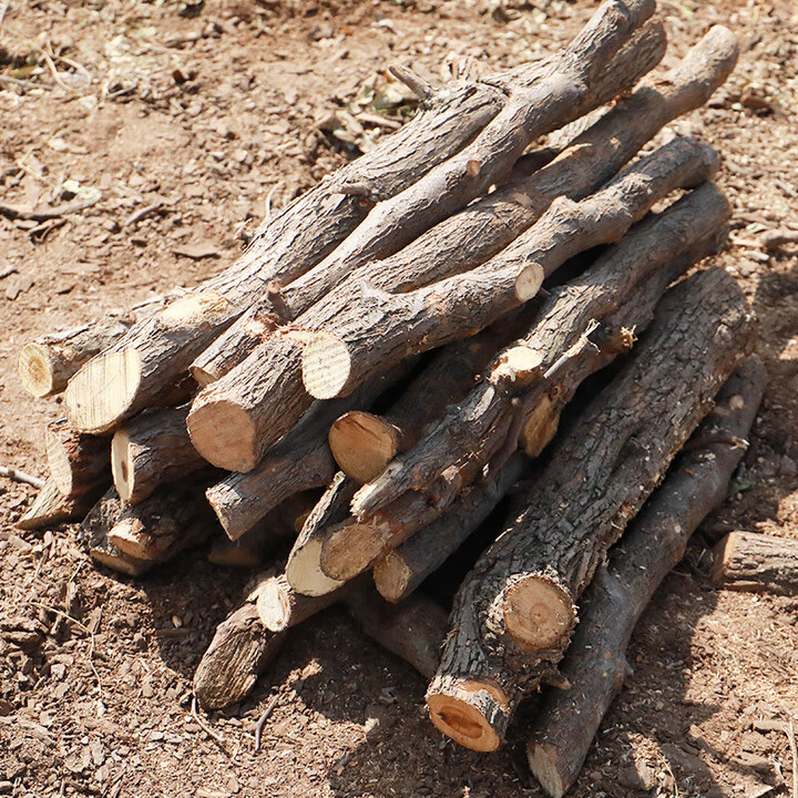 GUBPMTSHIM篝火木材干木柴耐烧柴火露营取暖壁炉劈柴柴火家用烧木柴户外木头 枣木整根圆木20斤+8个引燃块 +Y