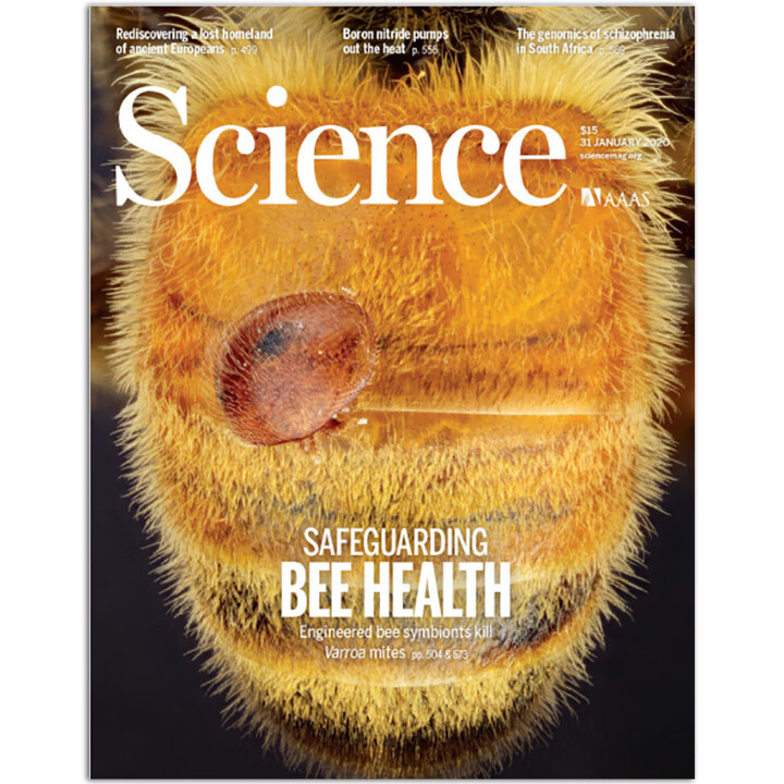 单期可选】Science 科学杂志 2019/20年周刊 美国自然科学科普杂志英语英文外刊杂志 6477 2020年1月31日刊》【摘要 书评 ...