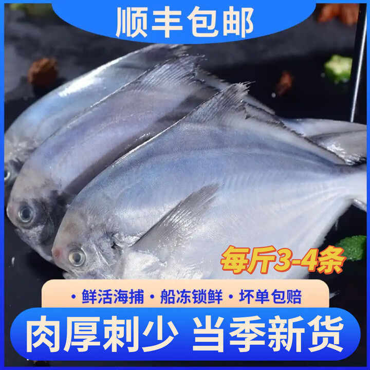鲜拔头筹新鲜海捕银鲳鱼4斤 青岛海捕小鲳鱼平鱼特大白仓鱼海鲜水产鱼类 4斤/包 3-4条/斤【图片 价格 品牌 报价】-京东