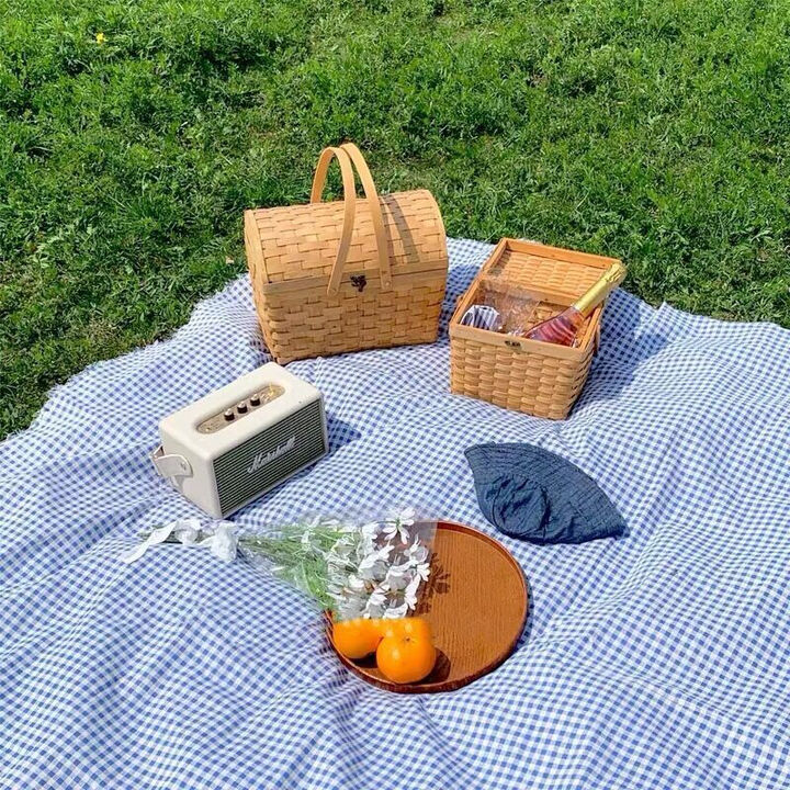 柏潮野餐垫ins风户外露营春游郊游野炊网红棉麻野餐布拍照摆摊背景布 蓝色格子-锁边 60X60cm