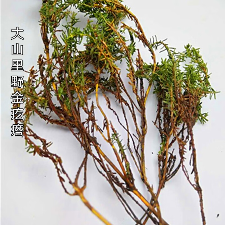 稳心草肝服灵草肝茯苓野金疙瘩内蒙纯野性兴安岭500克2发3份 大山里