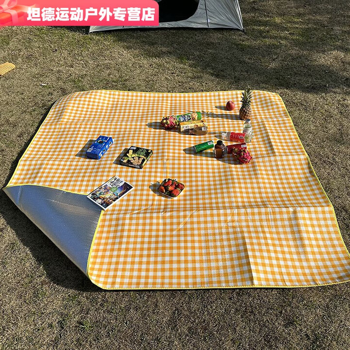 柏潮加厚彩膜野外露营垫户外野炊垫野餐布垫草坪垫子铺地宿舍防潮床垫 2.5毫米厚-黄白格 2X2米-送收纳袋