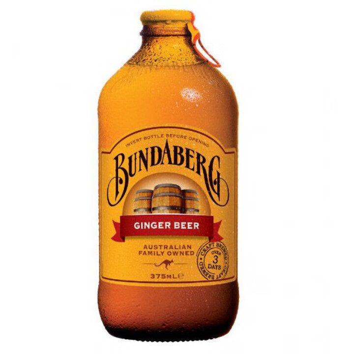 宾得宝（Bundaberg）Bundaberg Ginger Beer 宾得宝含气姜汁啤酒 375ml【图片 价格 品牌 报价】-京东