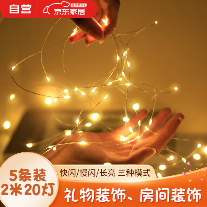 光多拉LED灯串节日氛围灯带房间布置小彩灯礼物花束装饰串灯5条装