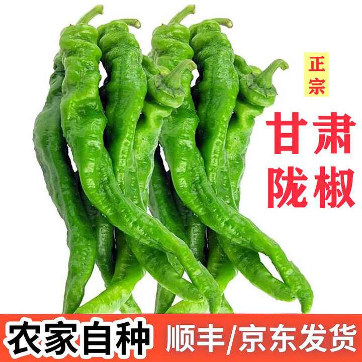 礼多果甘肃陇椒新鲜青辣椒螺丝椒农家自种薄皮辣椒 现摘皱皮椒微辣中辣 净重3斤【图片 价格 品牌 报价】-京东