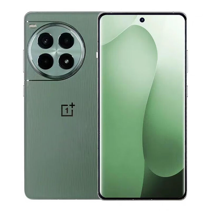 一加Ace 3 Pro旗舰芯片5g游戏Ai手机超长续订【95新】支持7天无理由 绿野素青 套餐一99、+配100W24GB+1TB