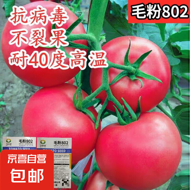 【京东物流】番茄种子盆栽番茄阳台盆栽农家田园大全各种各样 毛...