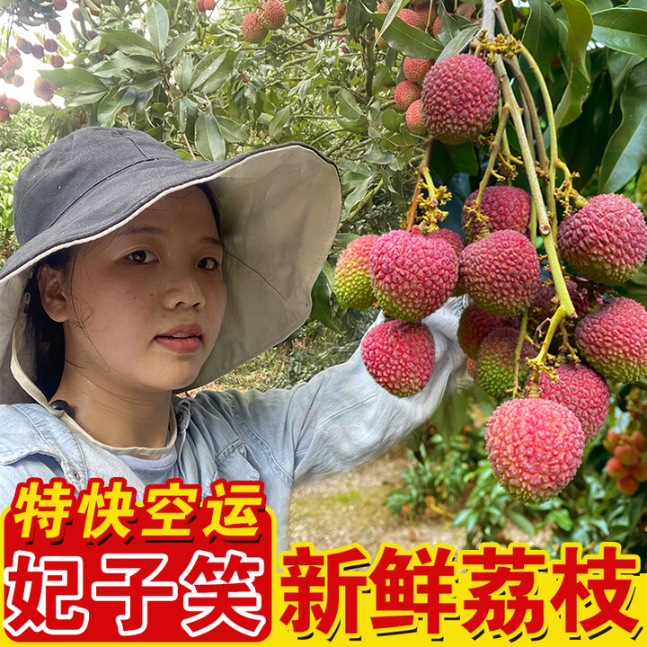 荔贵妃正宗高州荔枝新鲜现摘现发当季生鲜水果广东茂名荔枝根子柏桥 妃子笑/特快空运 净重3斤/正宗高州根子荔枝【图片 价格 品牌 报价】-京东