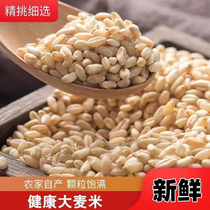 严选新大麦仁去皮大麦米农家大麦仁新鲜麦仁食用麦子粒商 去皮的 大 麦仁 5斤()【图片 价格 品牌 报价】-京东