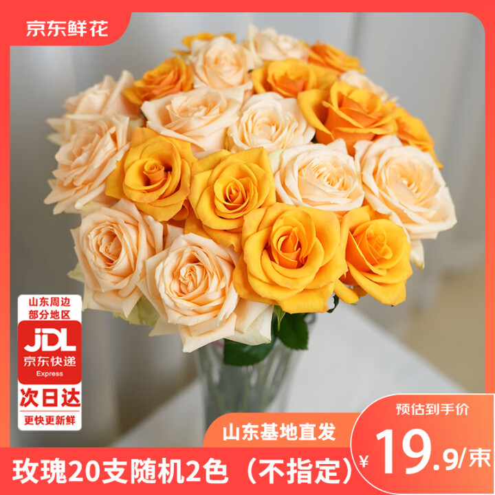 京东鲜花玫瑰花随机颜色20枝山东基地新鲜采摘送男女朋友枝长4...